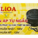 Biến áp tự ngẫu LIOA 600VA