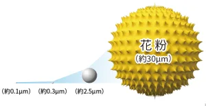 Kc J50 Web.1