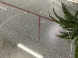 M6s Web.5