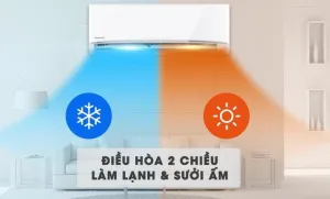 2 Chiều Web