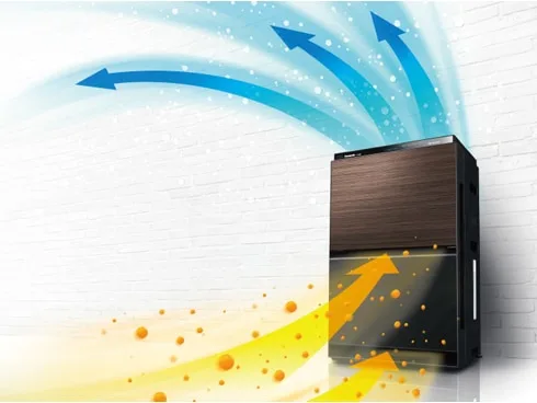 100000001005828863 10104