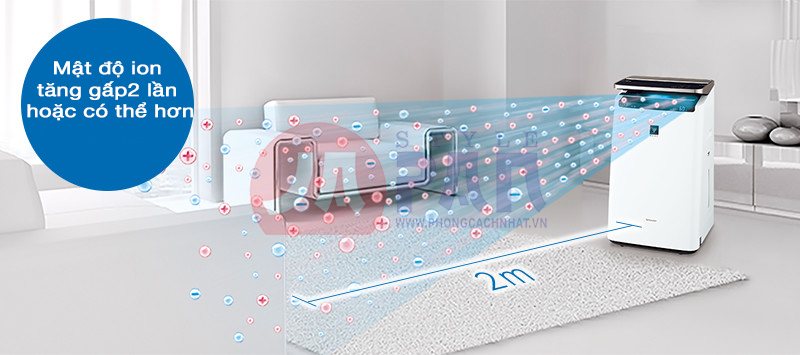 1 1618889804 7116212420 sub05 1